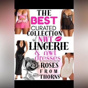 NWT LINGERIE DRESS CURATED PIECE